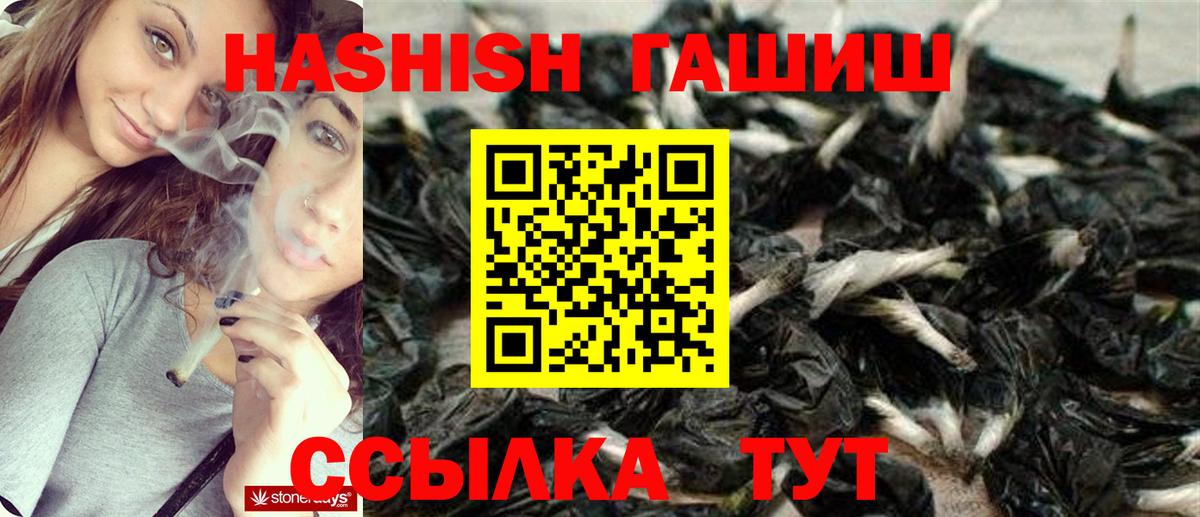 ГАШ Premium Калуга