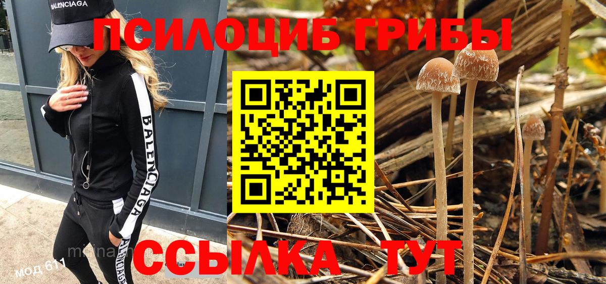 Галлюциногенные грибы Psilocybe  Псилоцибиновые грибы Psilocybe  Калуга  Вход с VPN 