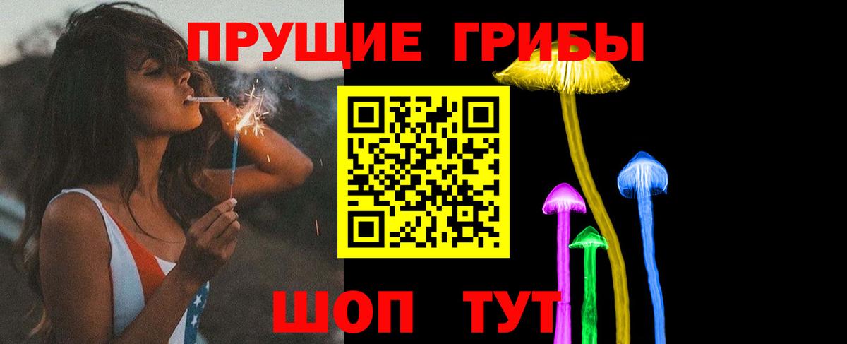 Галлюциногенные грибы Psilocybine cubensis Калуга